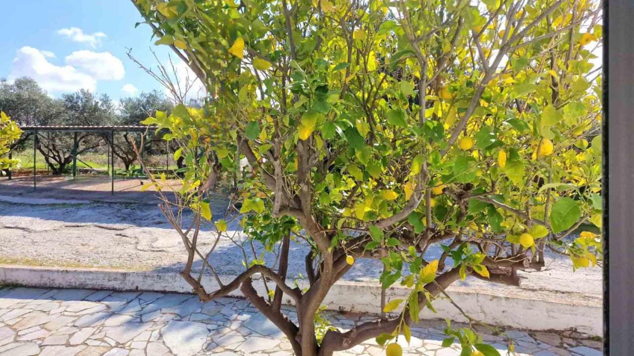 My Cretan Village By Go4Sea Chorafakia Екстериор снимка